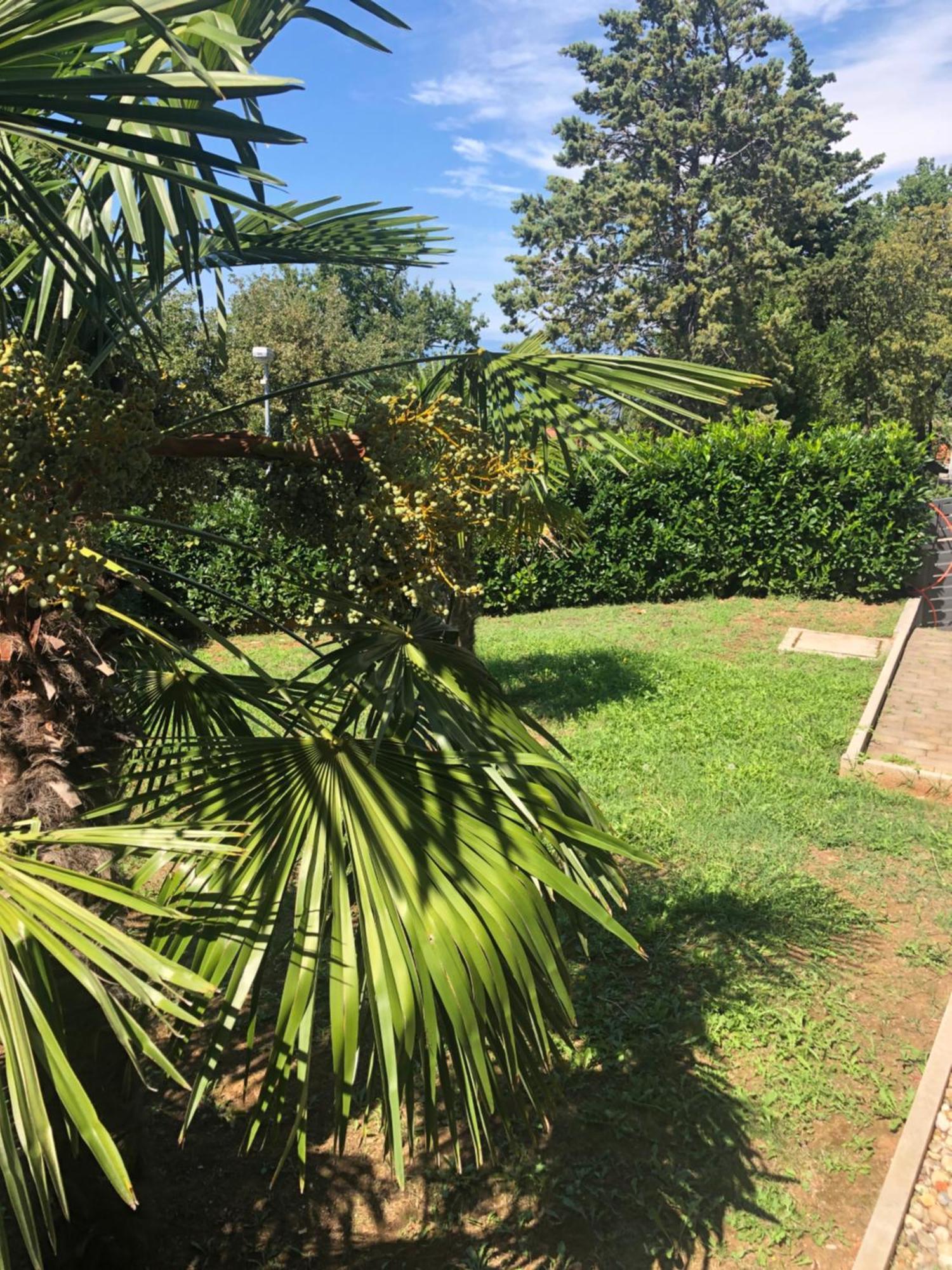 Villa Rudy Holiday Home Njivice Kültér fotó